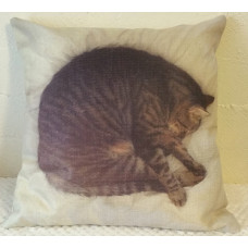 Sleeping Kitty Cushion